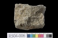 藏品(海百合石灰岩)的圖片